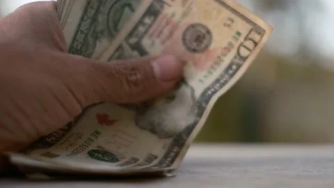 Counting assorted dollar bills concept money finance debt economy Vidéo 231612036