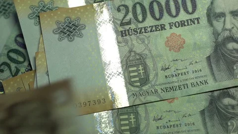 Counting cash, forint Stock Footage 73804873