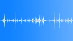 Counting CoinsSound Effect