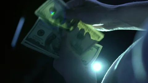 Counting dollars in hands, on white background Vídeo Stock 85651053
