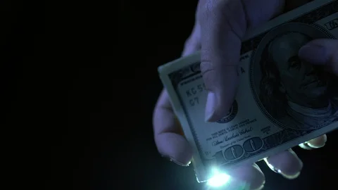 Counting dollars in hands, on white background Stock Footage 85659423