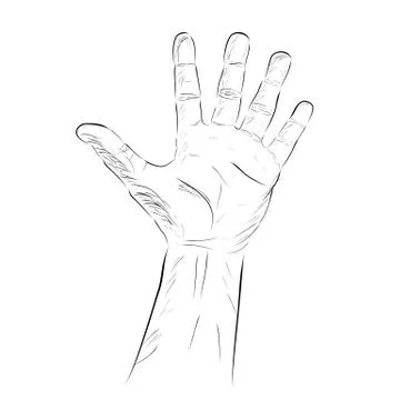 Counting Hand, or Vote, Five, isolated on white Stock Illustration
