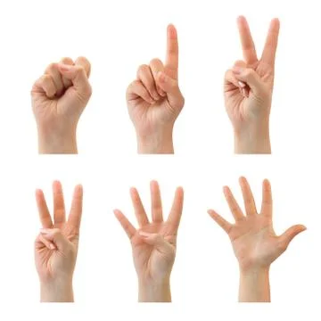 Counting hands (0 to 5) Stock Photos