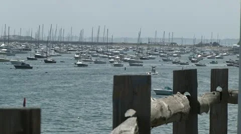 Countless Boats in Harbor Stock Footage 12426309