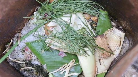 Countless crawling maggots in a green organic waste bin Stock Footage 78897607