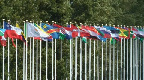 Countries flags Stock Footage 8969939