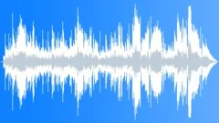 Countrified BirthdayStock Music
