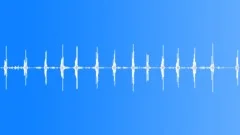 Country Awaking Birds & Stray Dogs (Forest, Oriole, Hangbird) Sound Effect