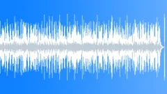 Country Ballad - Broken Heart No 17 - Med - Resonator Guitar 411 F 65 bpm Stock Music