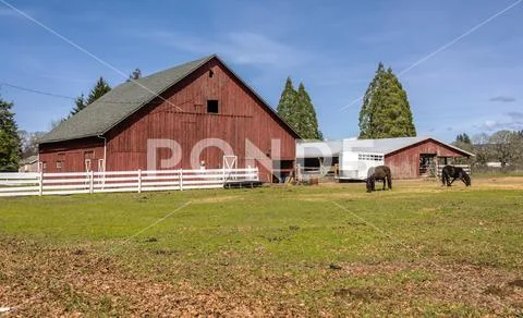 Country barn and horses Oregon state. Stock Photos