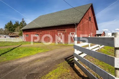 Country barn and horses Oregon state. Stock Photos