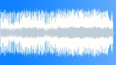 Country Blues InstrumentalStock Music