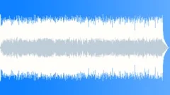 Country boogie Blues Stock Music