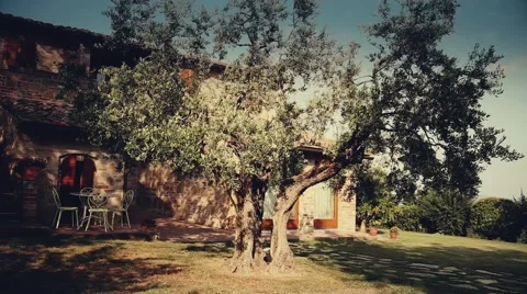 Country cottage in Tuscany with a big olive tree Stock Footage 59643643