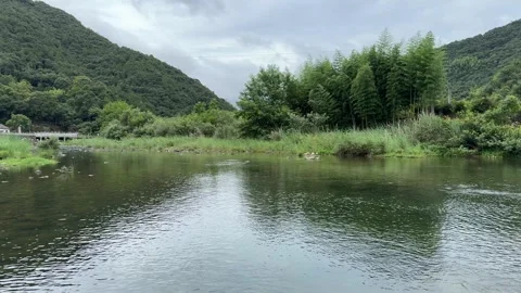 Country creek Stock-Footage 313966464