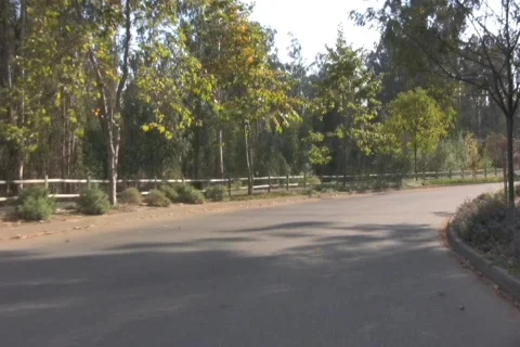 Country Drive 1Web 動画素材 876009