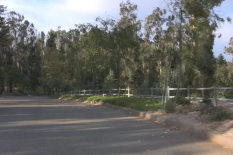Country Drive 2Web 動画素材 876050