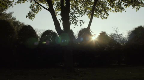 A country drive with sunset through trees Stock Footage 63472986