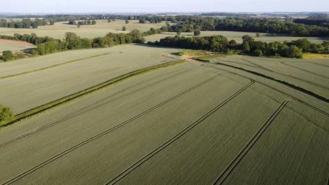 Country Field Patterns 库存照片