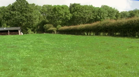 Country Field in Spring Stock Footage 54778963