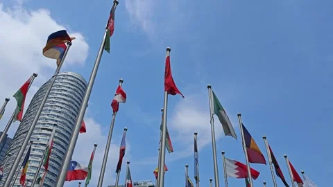 Country Flags Fluttering Strong in the Wind on a Clear Day Stock Footage 283956761