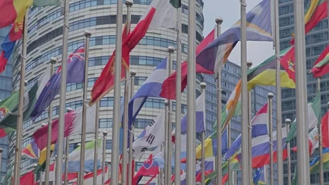 Country Flags Fluttering Strong in the Wind on a Clear Day Stock Footage 283956779