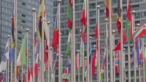 Country Flags Fluttering Strong in the Wind on a Clear Day Stock Footage 283957141