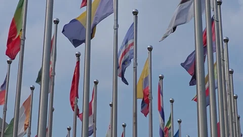 Country Flags Fluttering Strong in the Wind on a Clear Day Stock Footage 283957244