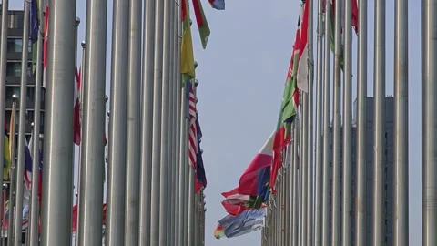 Country Flags Fluttering Strong in the Wind on a Clear Day Stock Footage 283957492