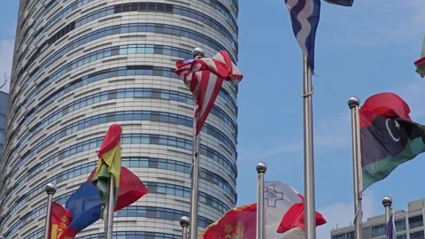Country Flags Fluttering Strong in the Wind on a Clear Day Stock Footage 283957692