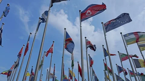 Country Flags Fluttering Strong in the Wind on a Clear Day Stock Footage 283957722