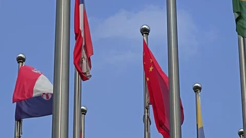 Country Flags Fluttering Strong in the Wind on a Clear Day Stock Footage 283957744