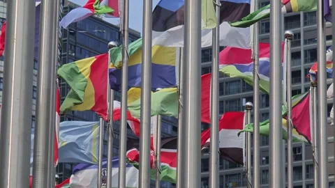 Country Flags Fluttering Strong in the Wind on a Clear Day Stock Footage 283957758