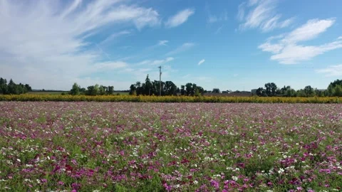 Country Stock Footage 285804063