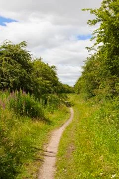 Country footpath Stock Photos