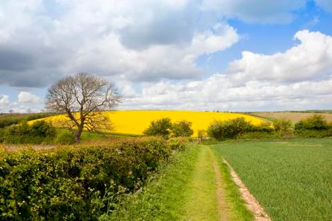 Country footpath in springtime Stock Photos