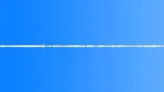 Country forest atmosphereSound Effect