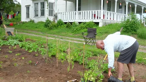Country garden Stock Footage 156460160