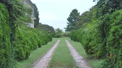 Country Gardens Stock Footage 45805334
