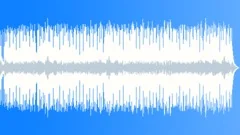 Country Hoedown - DnB Stock Music