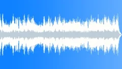 Country Hoedown - No Drums Stock Music