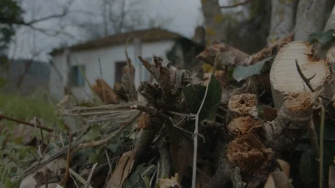 Country house Stock Footage 87713576