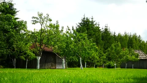 Country House Stock Footage 138458912