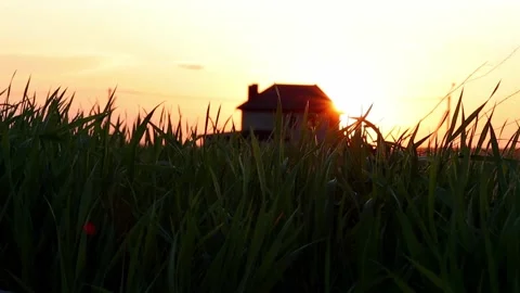 Country house in the rays of the setting sun. Grass close-up in the evening. Video stock 154277576