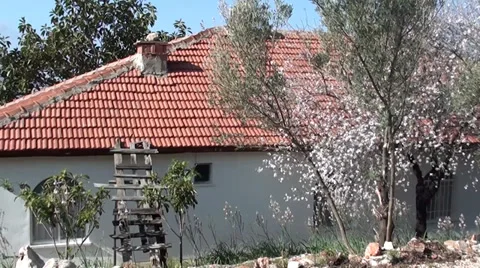 Country house in spring Stock Footage 36188149