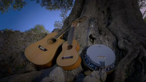 Country instruments under olive tree Stock Footage 143185007