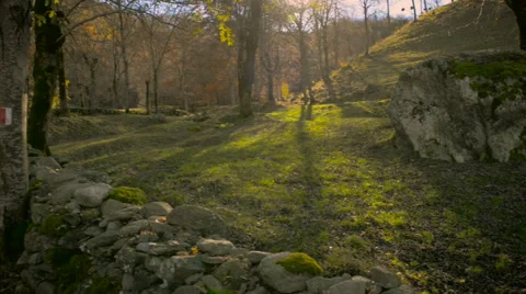 Country landscape in autumn Stock Footage 56881069