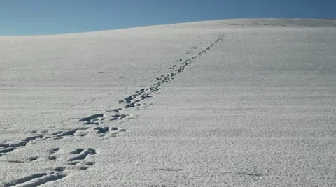 Country landscape. Stockbeeldmateriaal 20525899
