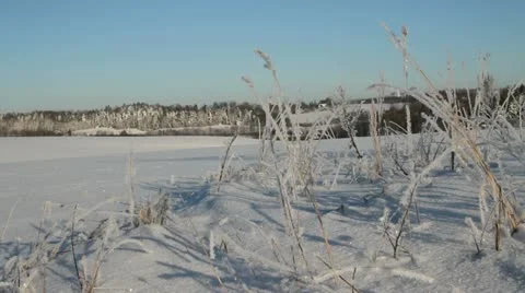 Country landscape. Stockbeeldmateriaal 20525901