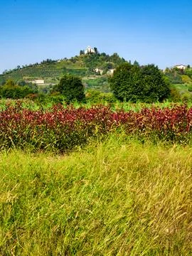 Country landscape in the Montevecchia e Curone park, Lecco province, Italy,.. Stock Photos